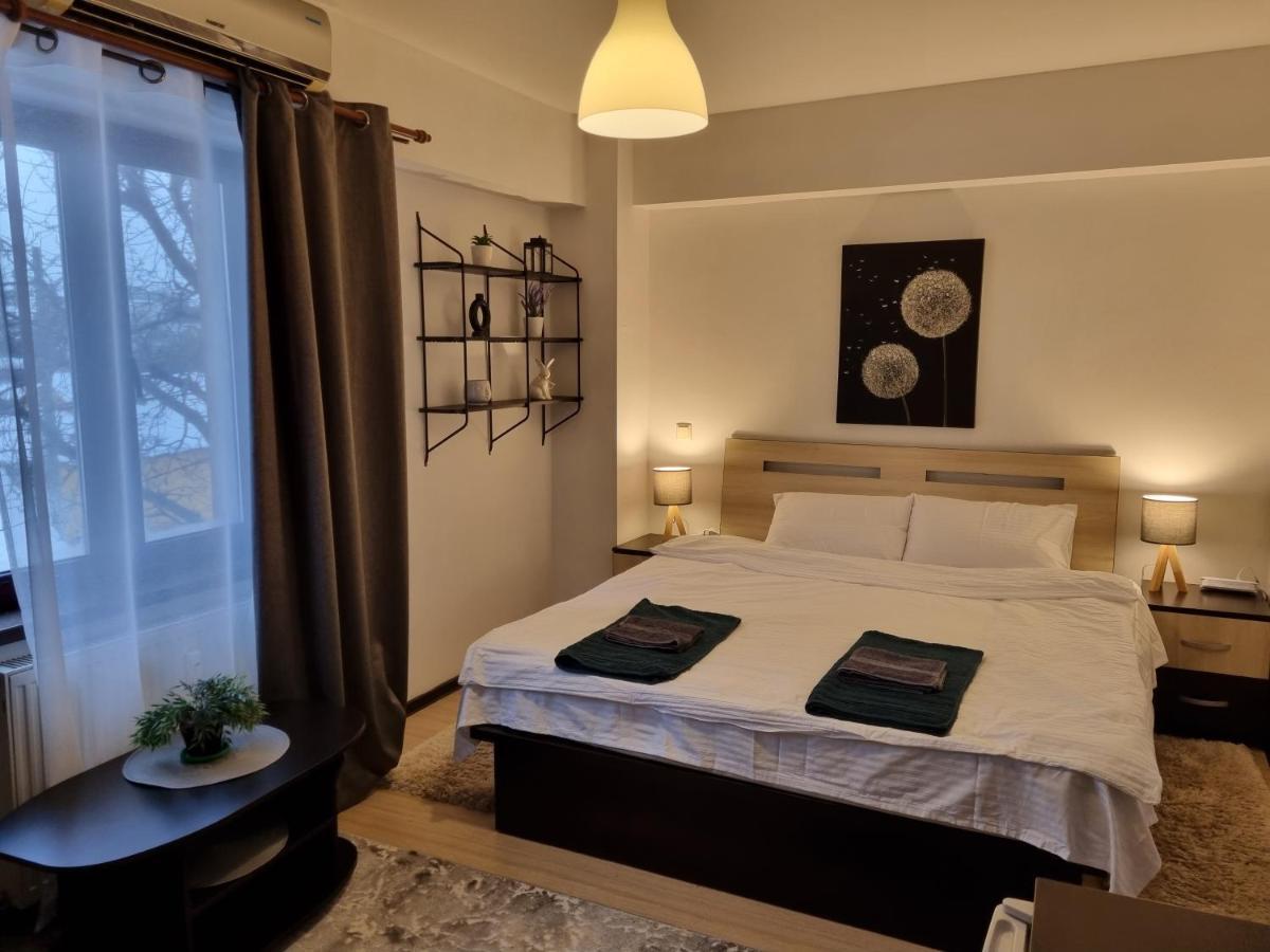 Central & Comfy, Peaceful Apt In 雅西 外观 照片